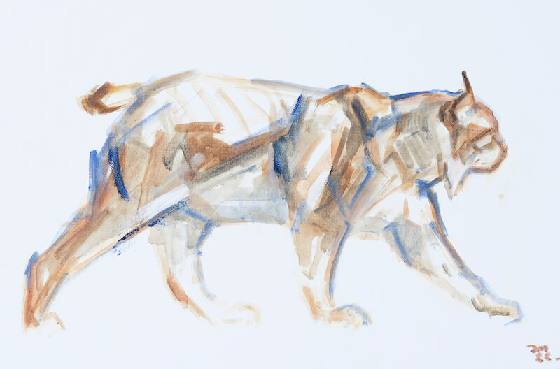 Lynx. Oil on canvas panel. 30 x 20cm. £265.