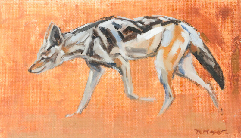 Black Backed Jackal. Oil on canvas Panel. 25.5 x 15cm. £215.