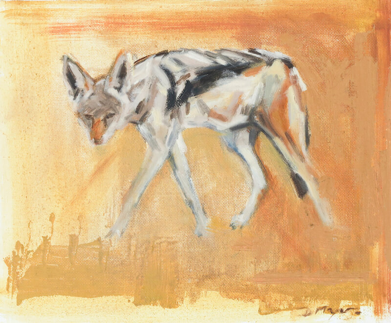 Black Backed Jackal. Oil on Canvas panel. 25 x 21cm. £215.