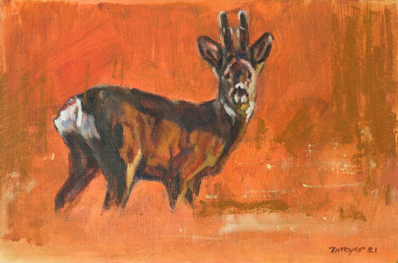 Winter Roe Buck. Oil on canvas panel. 30 x 20cm. £265.