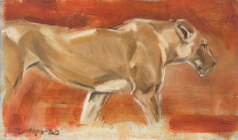 Lioness walking. Oil on canvas panel. 25 x 15cm. £215