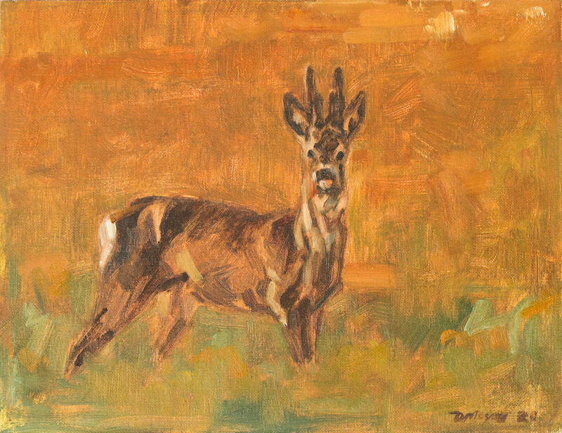 Winter Roebuck. Oil on canvas panel. 19 x 25cm. £215.