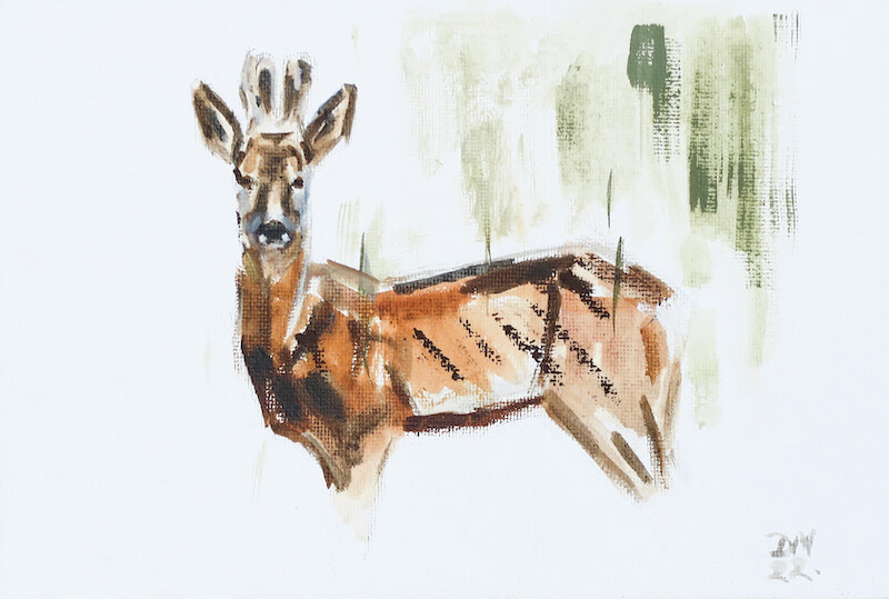 Roebuck. Oil on canvas panel. 22 x 15cm. £215.