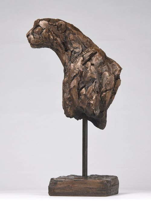 Cheetah Torso II