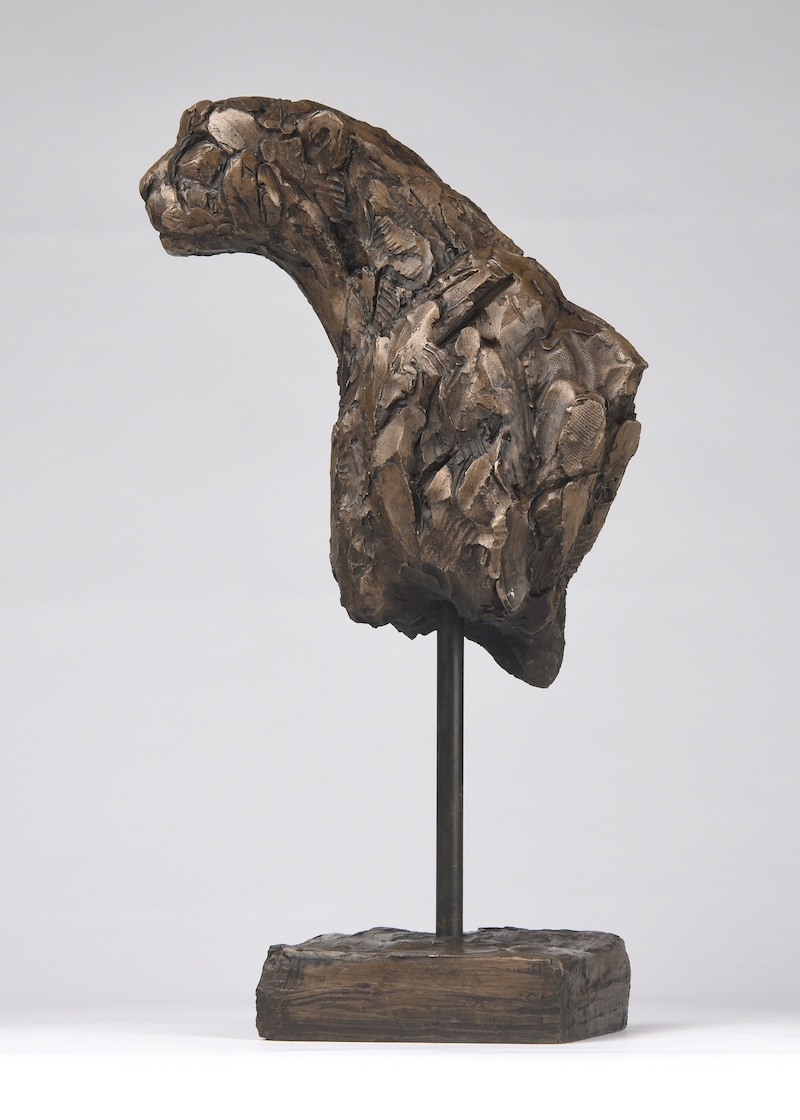 Cheetah Torso II