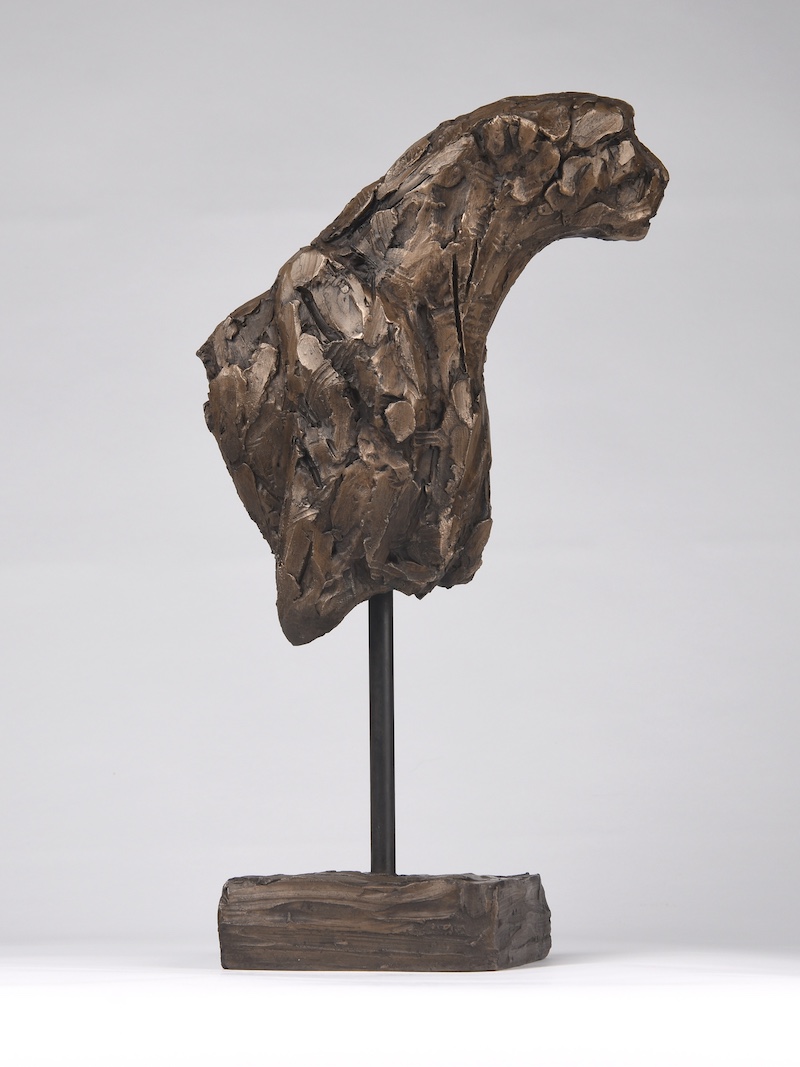 Cheetah Torso II