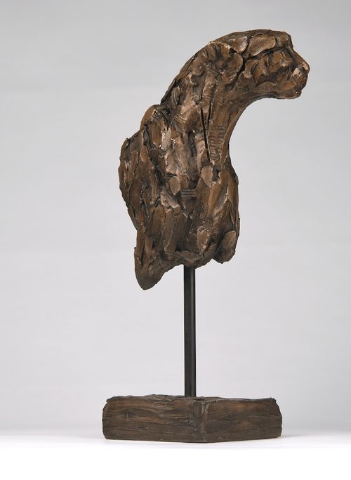 Cheetah Torso II