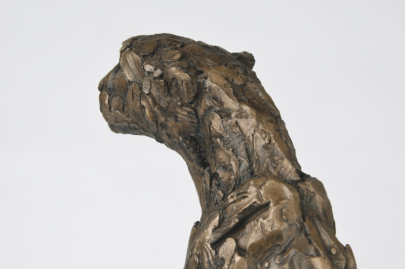 Cheetah Torso II