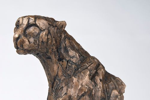 Cheetah Torso II
