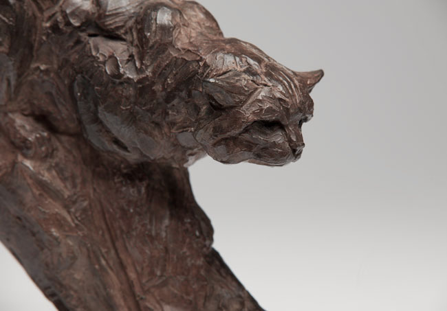 Bronze Scottish Wildcat sculpture