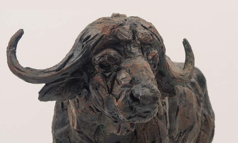 African Buffalo bronze sculpture