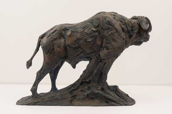 African Buffalo bronze sculpture