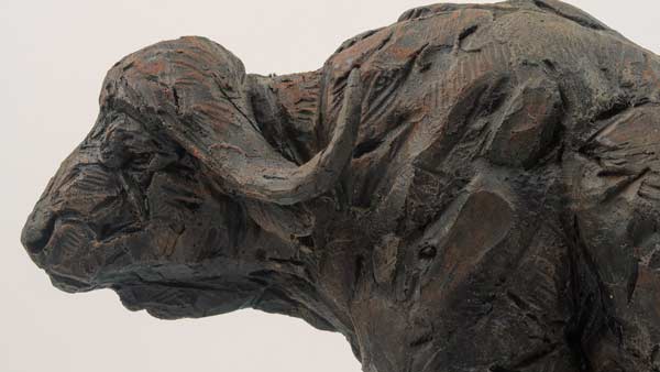 African Buffalo bronze sculpture