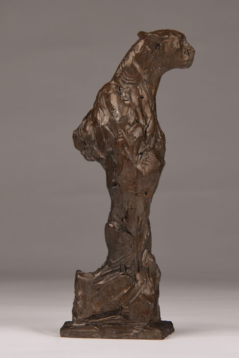 Bronze Cheetah Bust sculpture
