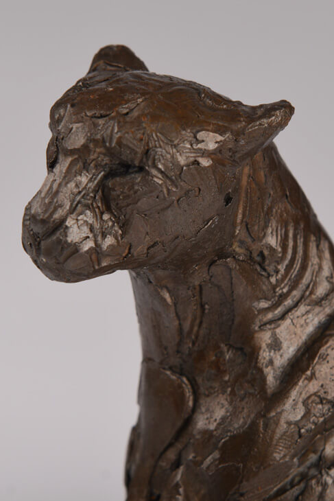 Bronze Cheetah Bust sculpture