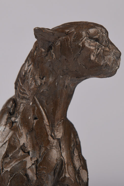 Bronze Cheetah Bust sculpture