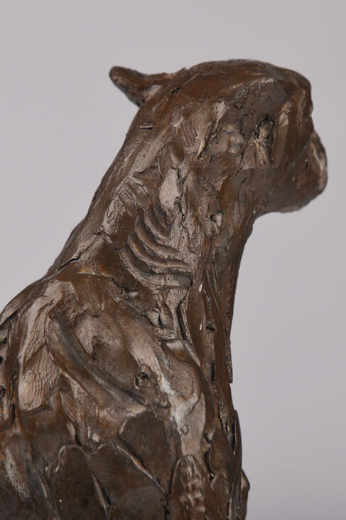 Bronze Cheetah Bust sculpture