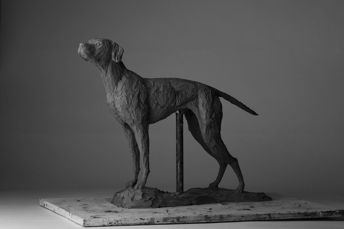 Commissioned pet sculpture  by UK Sculptor David Mayer