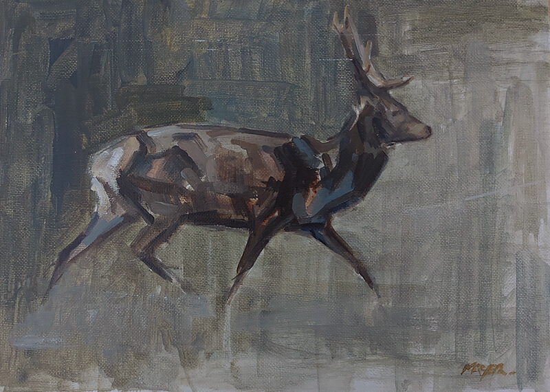 Red Stag - Oil on canvas panel. 20.5 x 29.5cm