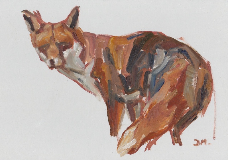 Fox looking back - Oil on gessoed panel.