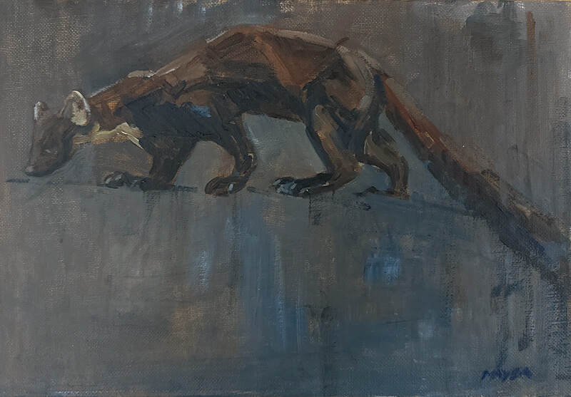 Pine Marten - Oil on canvas panel. 20.5 x 29.5cm