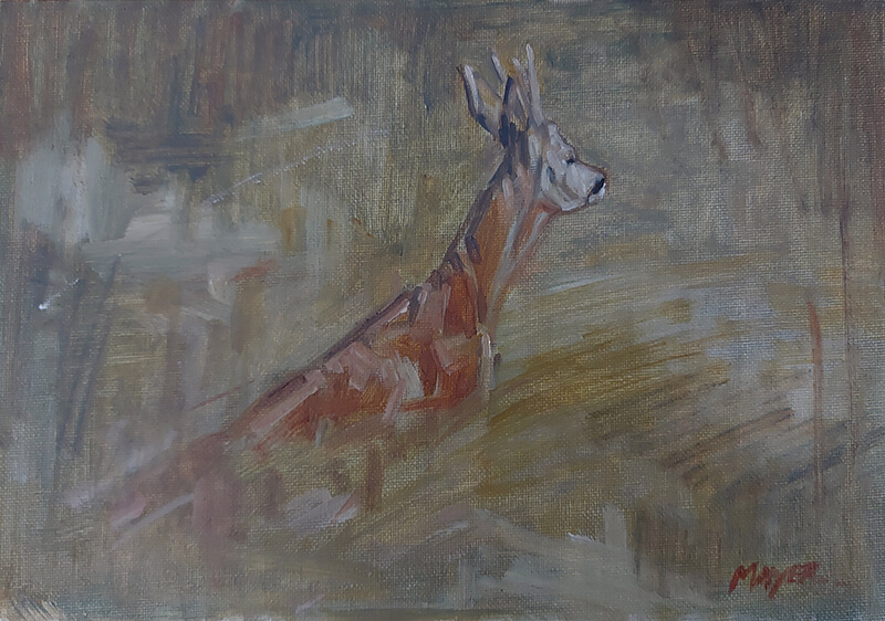 Roe Buck - Oil on canvas panel. 20.5 x 29.5cm