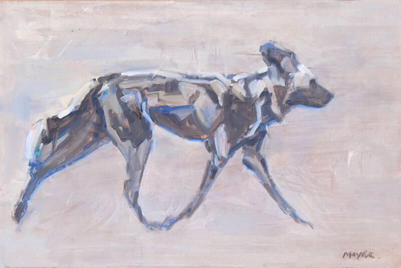 Wild Dog - Oil on canvas panel