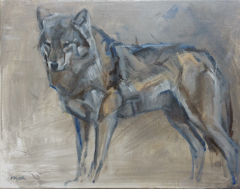Alpha Wolf - Oil on stretched canvas. 40 x 50cm